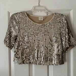 Silver Sequin Crop Top Crew Neck T-shirt